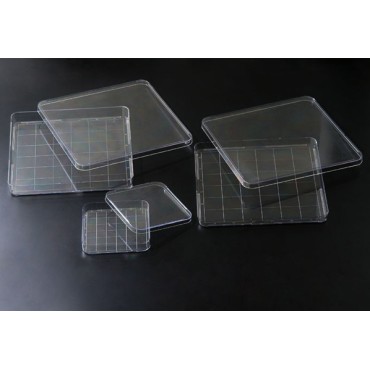 10245 Square Dish, 243x243x19.3mm, Sterile, 5/20/case